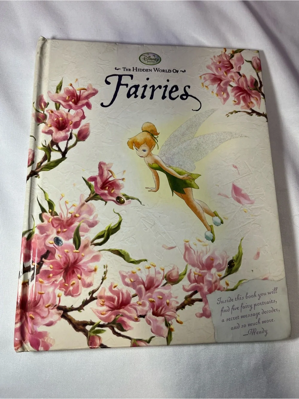 Disney Press The Hidden World of Fairies Hardcover 2008 1st Edition Y2K